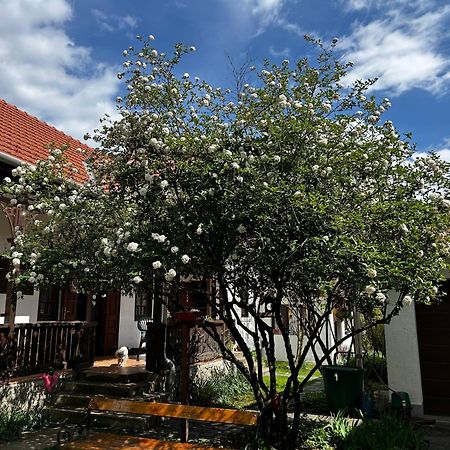 Apartmán Magnolia Garden Miškovec Exteriér fotografie