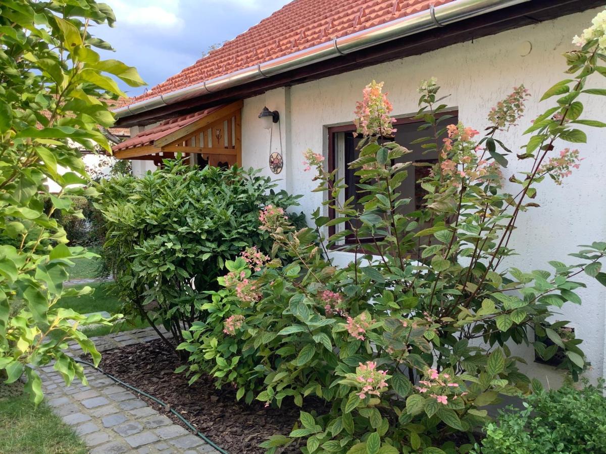 Apartmán Magnolia Garden Miškovec Exteriér fotografie