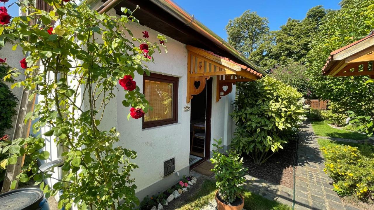 Apartmán Magnolia Garden Miškovec Exteriér fotografie