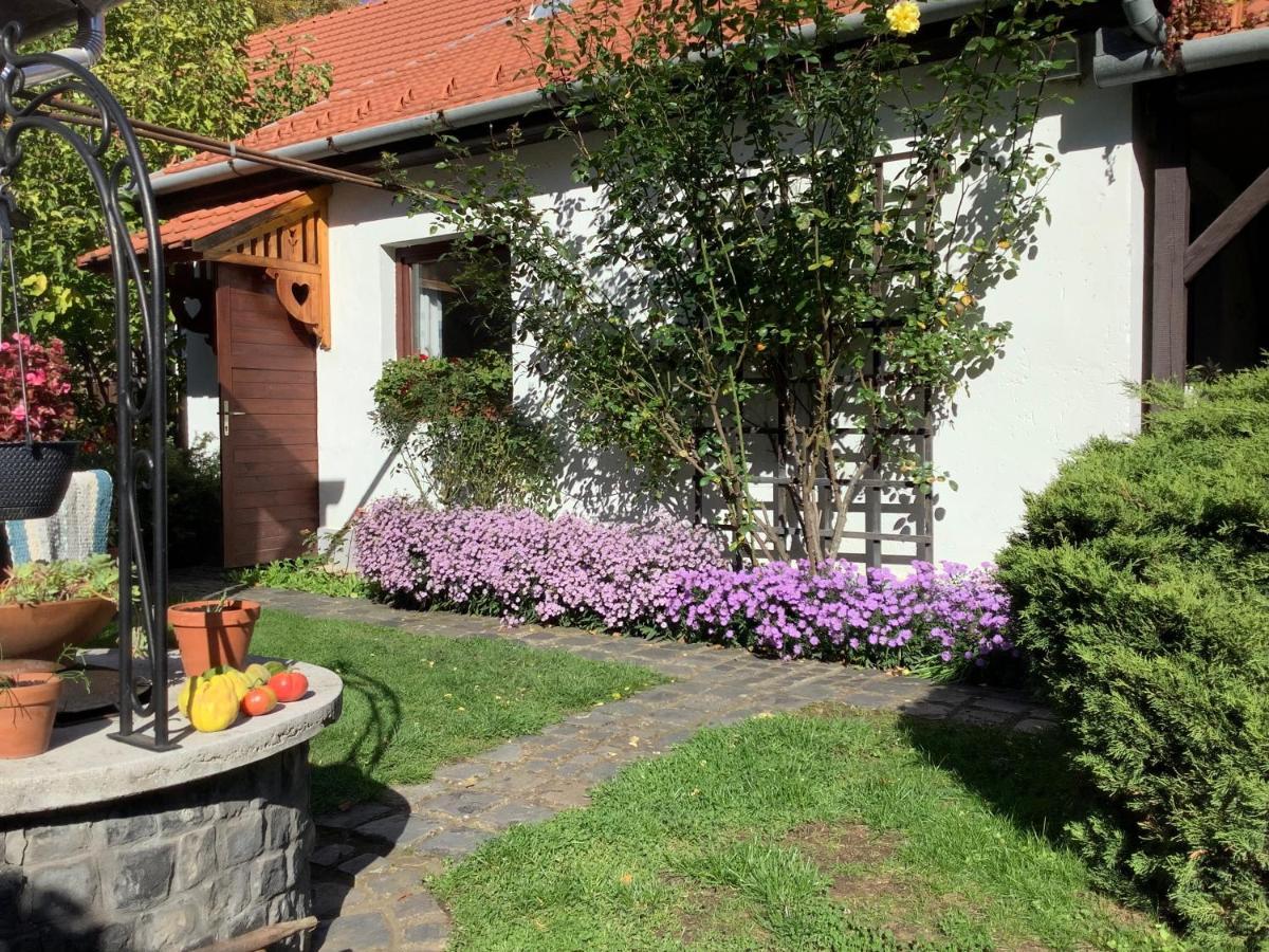 Apartmán Magnolia Garden Miškovec Exteriér fotografie