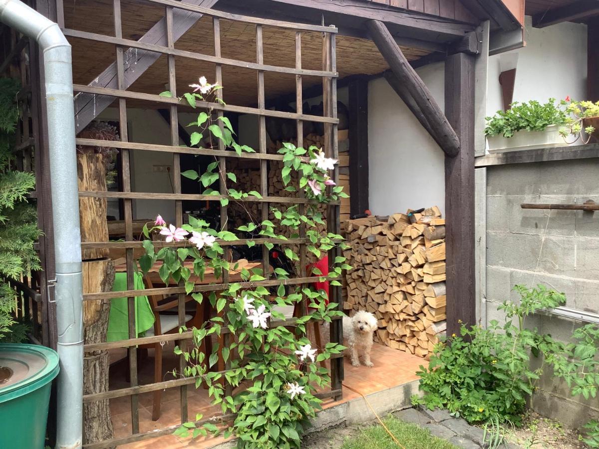 Apartmán Magnolia Garden Miškovec Exteriér fotografie